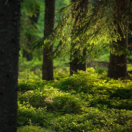 Valikoidut luontokirjat